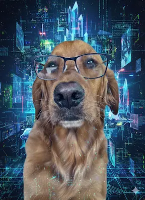 Dave - Chief Vibes Officer